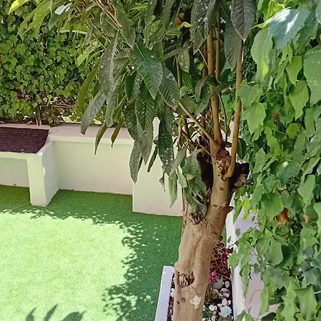 Il Giardino Di Eva 아파트